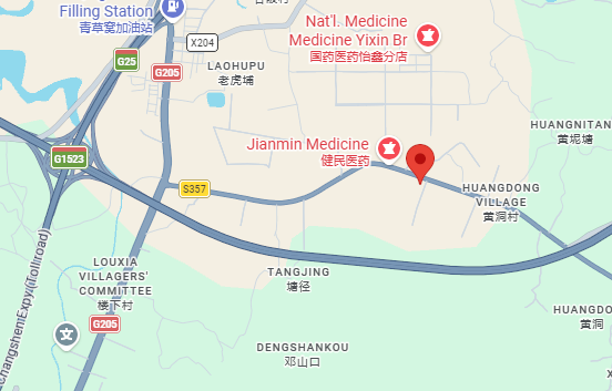 Google Maps